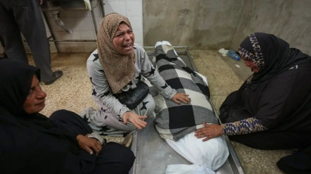 غزہ میں غاصب اسرائیلی فوج کے تازہ فضائی حملوں میں 7 فلسطینی شہید ہوگئے ہیں۔