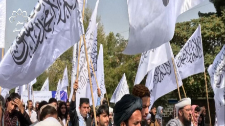 گزارش دیده بان حقوق بشر در باره وضعیت حقوق بشری افغانستان