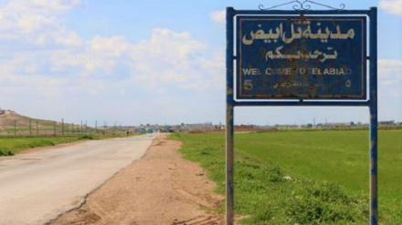 Talan û kavilkirina malên Kurdan li Girêsipî