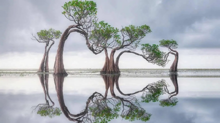 ہر حسن، نگاہ کے ایک نئے زاویے کا منتظر ہے
