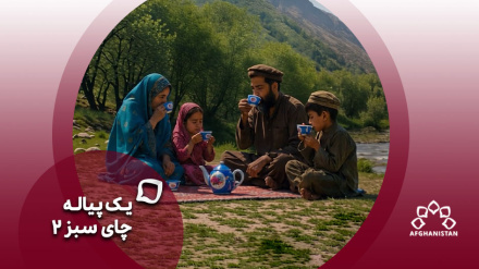 فصل جدید یک پیاله چای سبز!