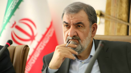 خلیج فارس میں 