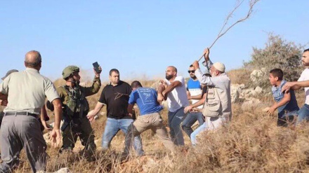 Izraelski doseljenici napadaju palestinske domove i maslinike na okupiranoj Zapadnoj obali